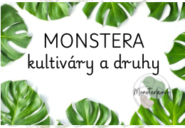 Monstera zberateľstvo